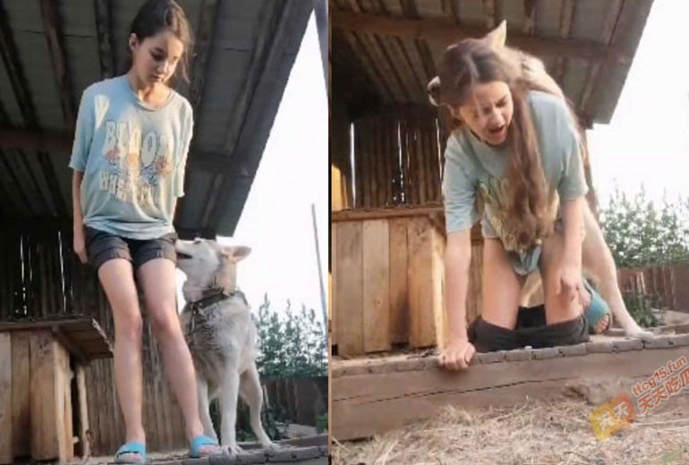 Clip Sex Thú Em Gái Tóc Vàng Chịch Với Chó Cưng