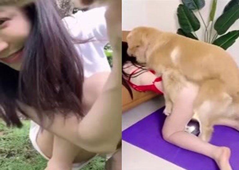 Em Gái China Chơi Sex Thú Chịch Nhau Với Chó Cưng