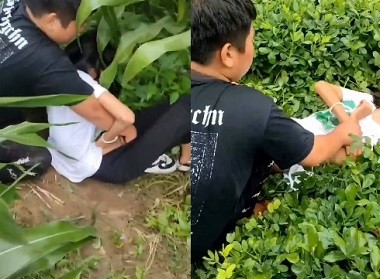 Hiếp em gái tội nghiệp ở đồng ngô