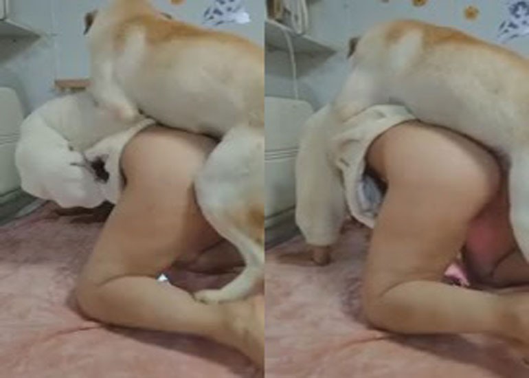 Siêu Phẩm Sex Thú Em Nữ Sinh Đụ Nhau Với Chó Cưng